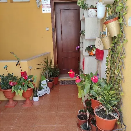 Casinha Gabriela