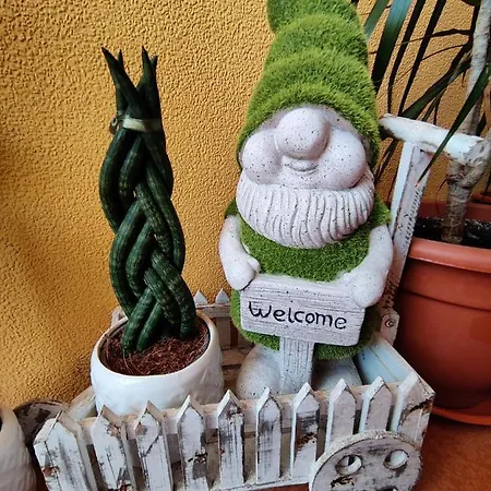 Casinha Gabriela Appartamento *